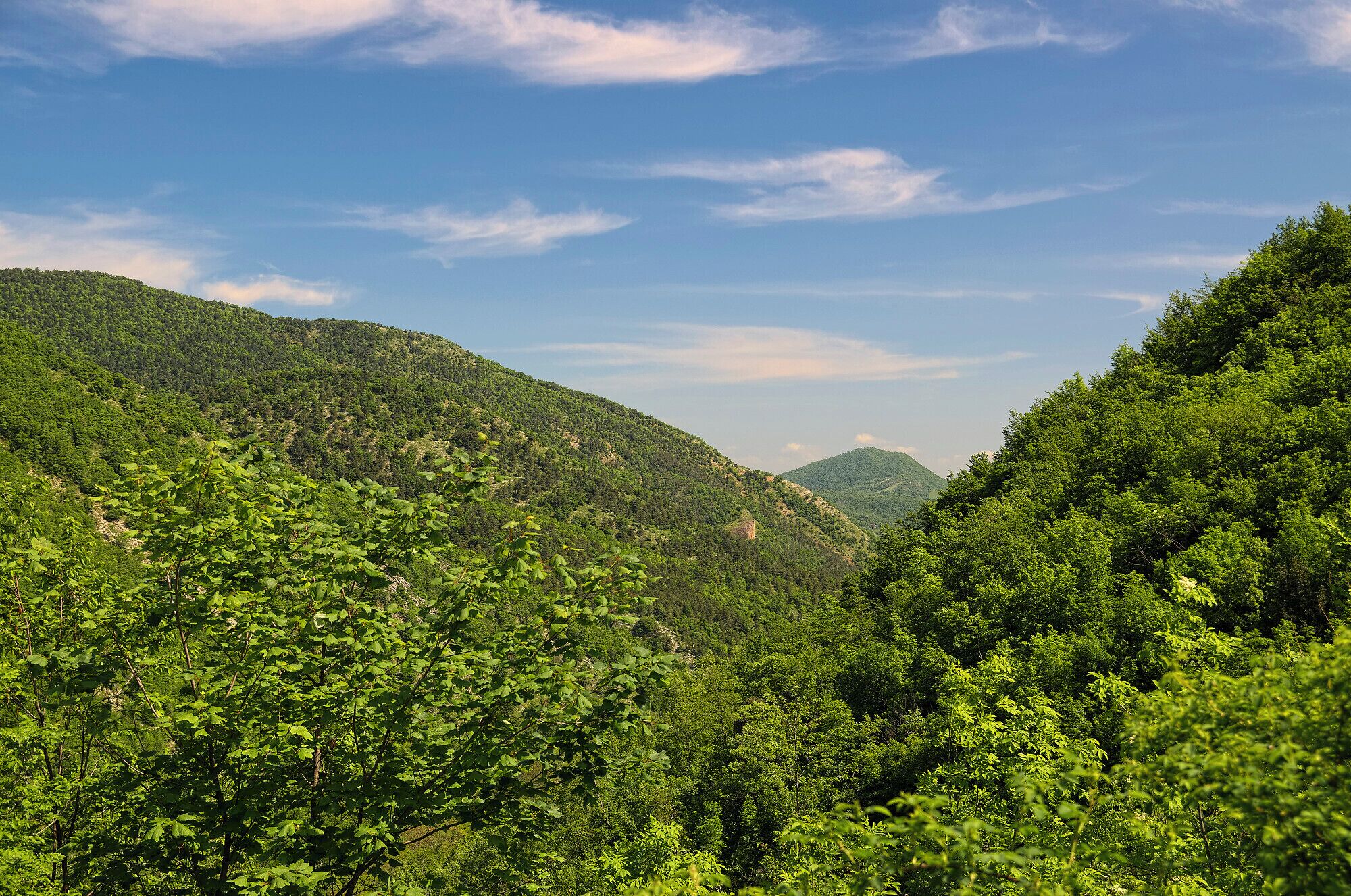 Monte Doglio (credo...)