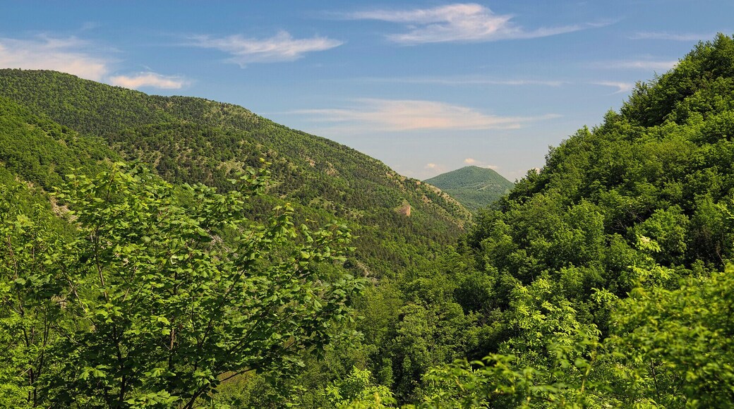 Monte Doglio (credo...)