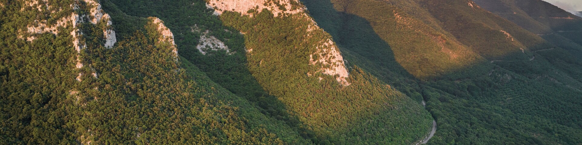 Un paisaje montañoso con denso bosque y un camino sinuoso.