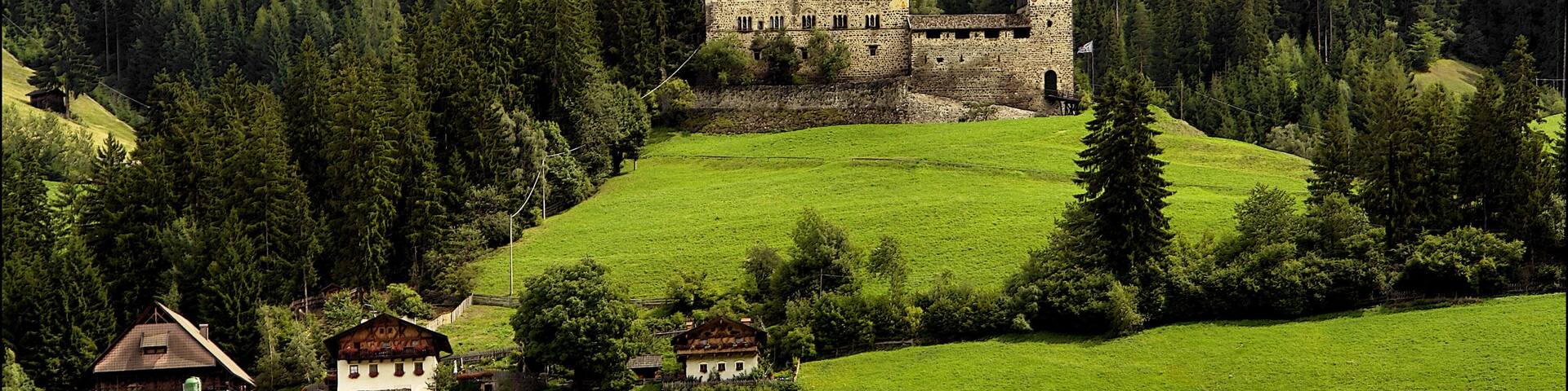 View on Schloss Reinegg