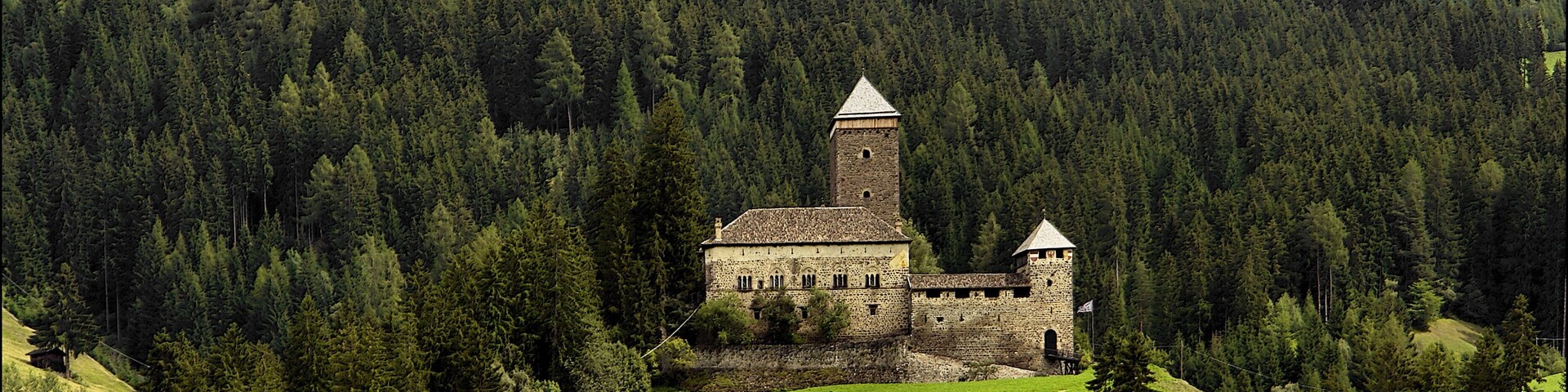 View on Schloss Reinegg