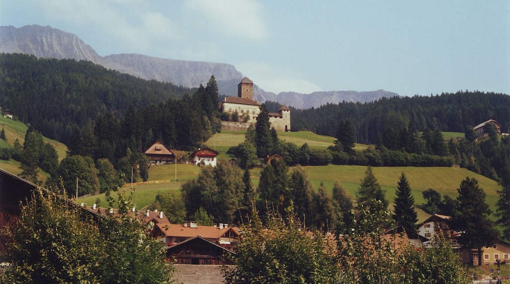 This media shows the cultural heritage monument with the number 17163 in South Tyrol. Sarentino/Sarntal - Provincia di Bolzano/South Tyrol - Italy