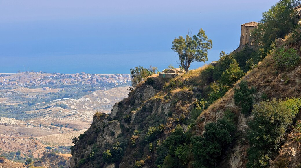 聖卡泰里納德洛約尼奧