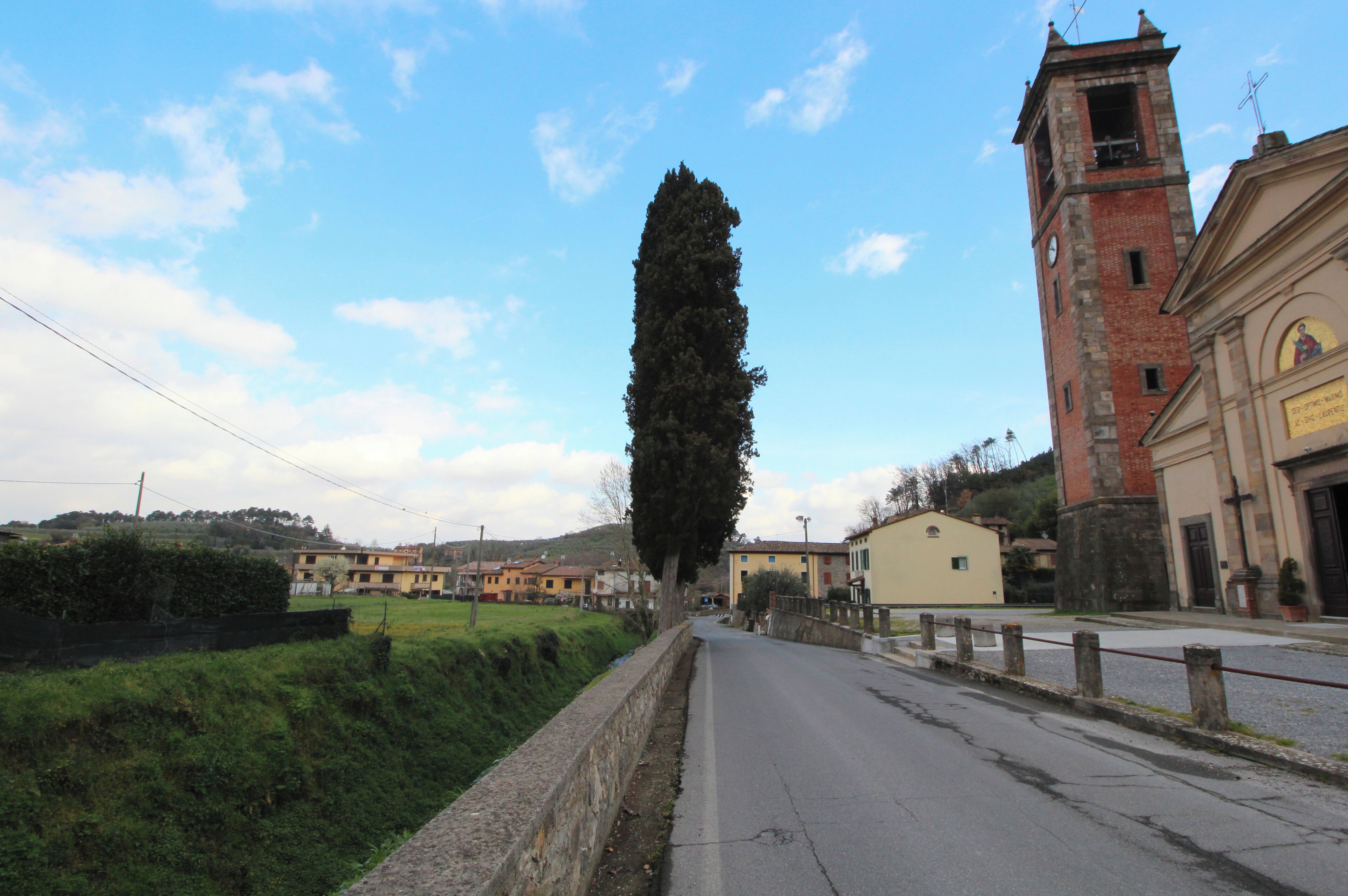 A road with a tall tree, a church with a bell tower, and residential buildings.