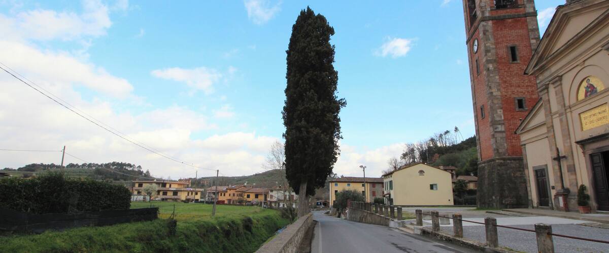A road with a tall tree, a church with a bell tower, and residential buildings.