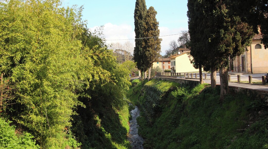 Massa Macinaia, hamlet of Capannori, Province of Lucca, Tuscany, Italy
