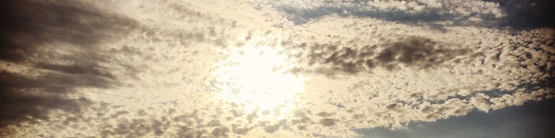 I love the morning time shots!!