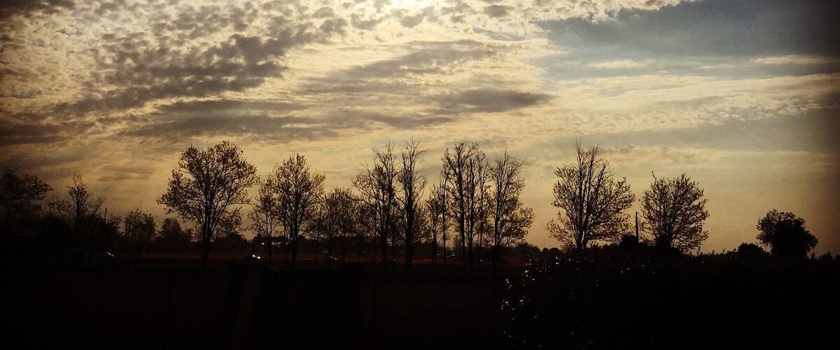 A sunset with scattered clouds over a silhouette of trees.