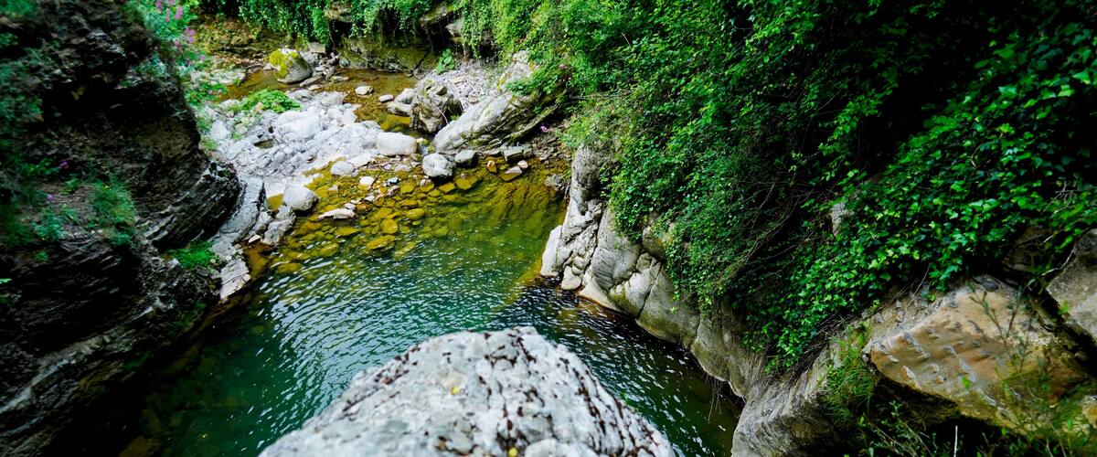 A rocky stream surrounded by lush greenery.