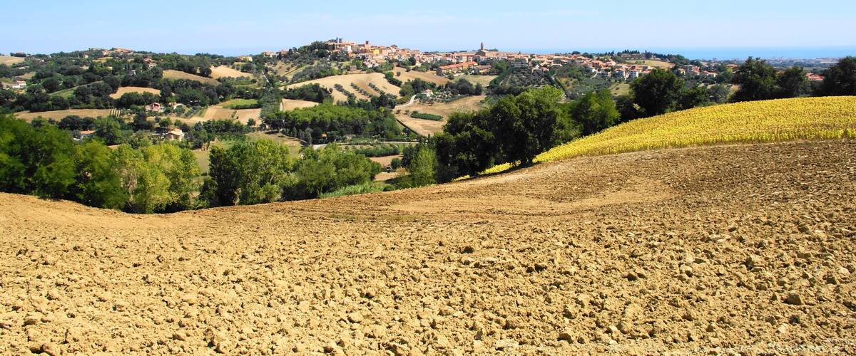 A rural landscape with terraced fields, a village in the background, and a clear blue sky.