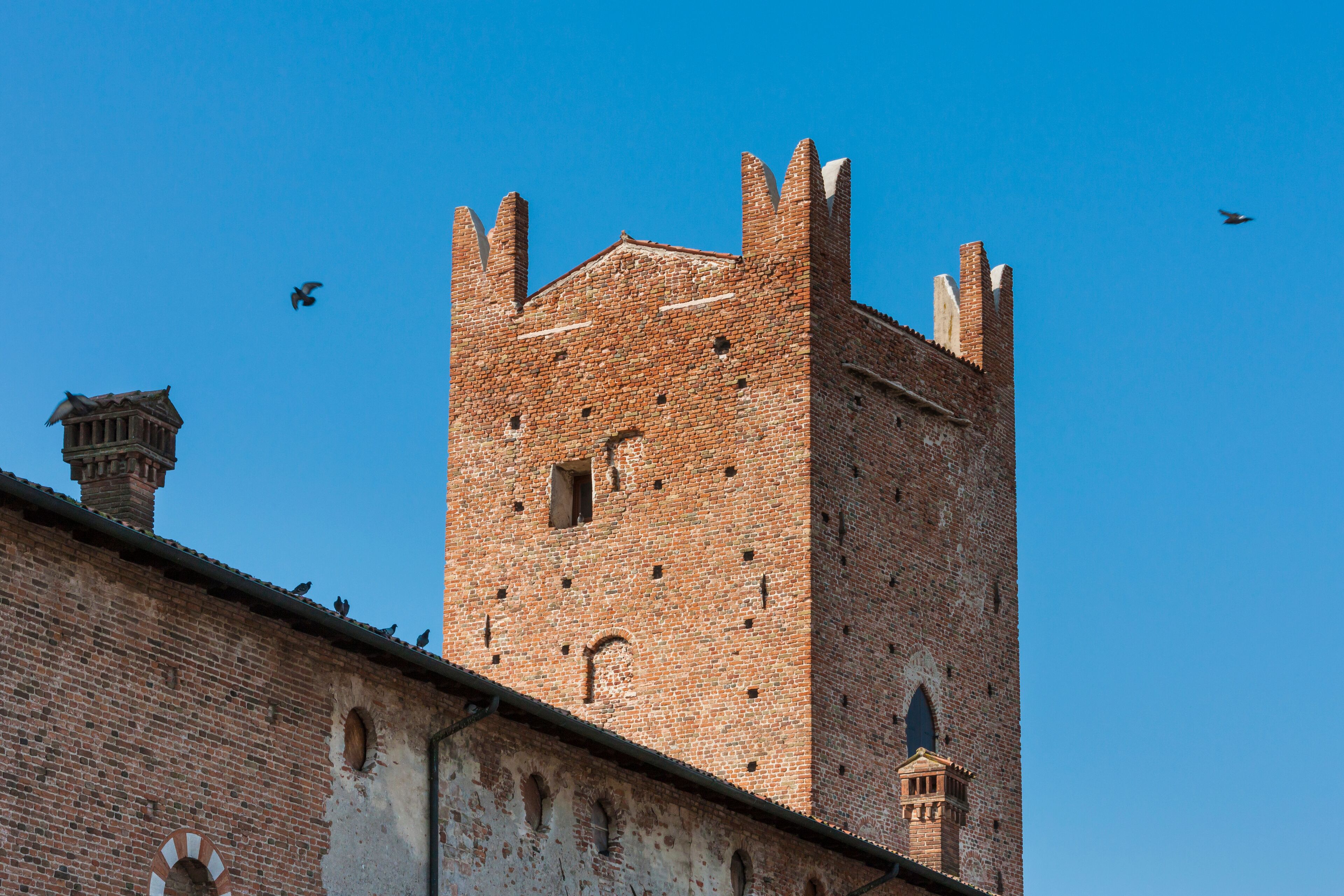 The scaliger castle in the town of Salizzole