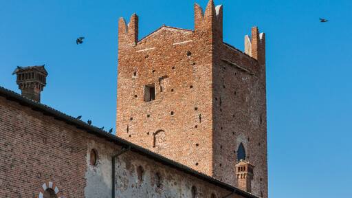 The scaliger castle in the town of Salizzole