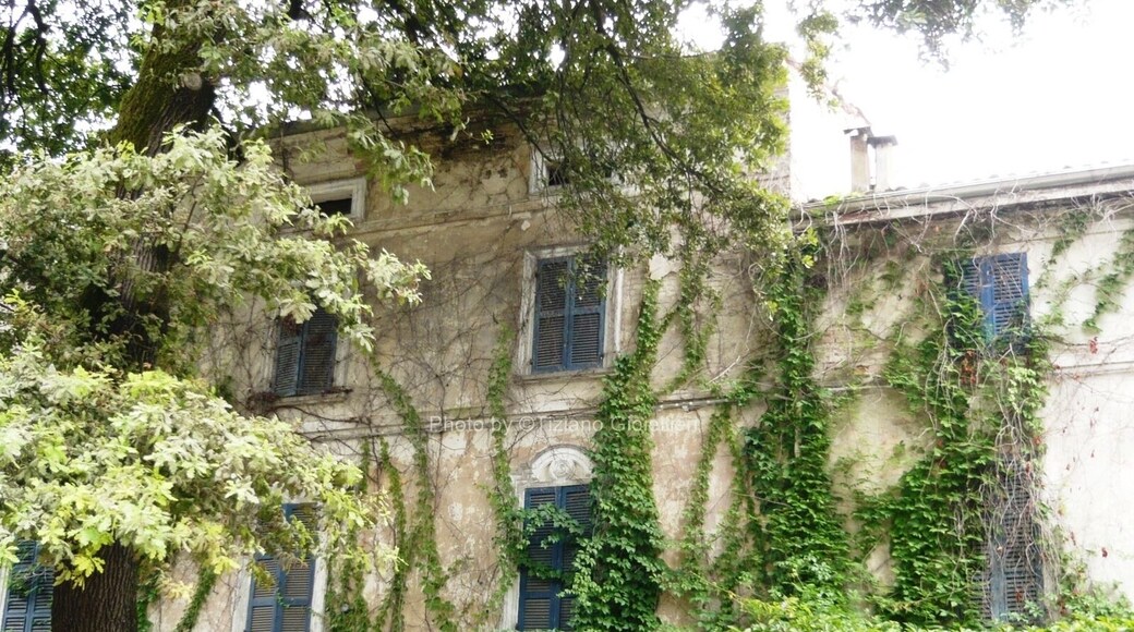 Giardino del Municipio a Roccabianca