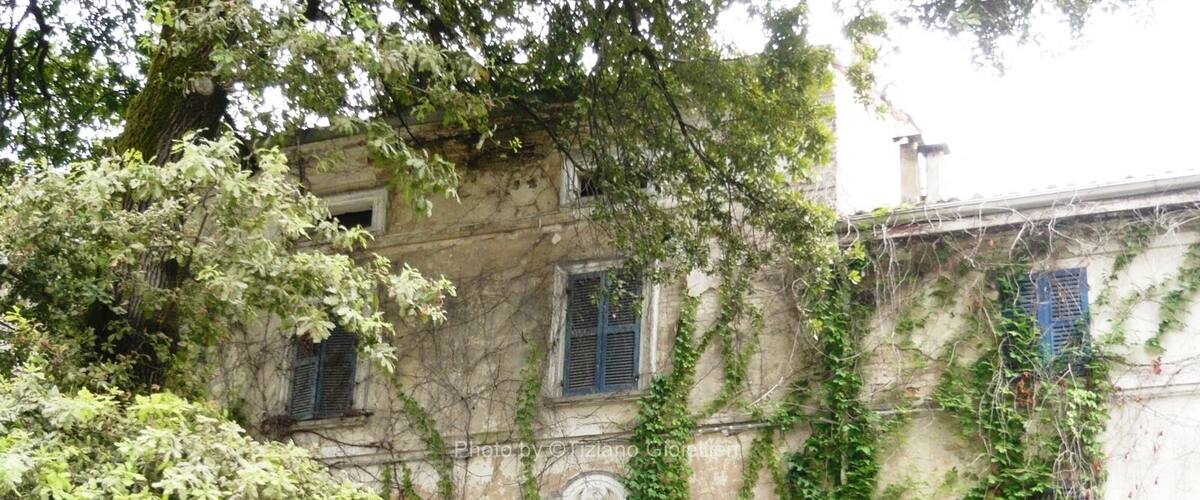A building with ivy-covered walls and green foliage.