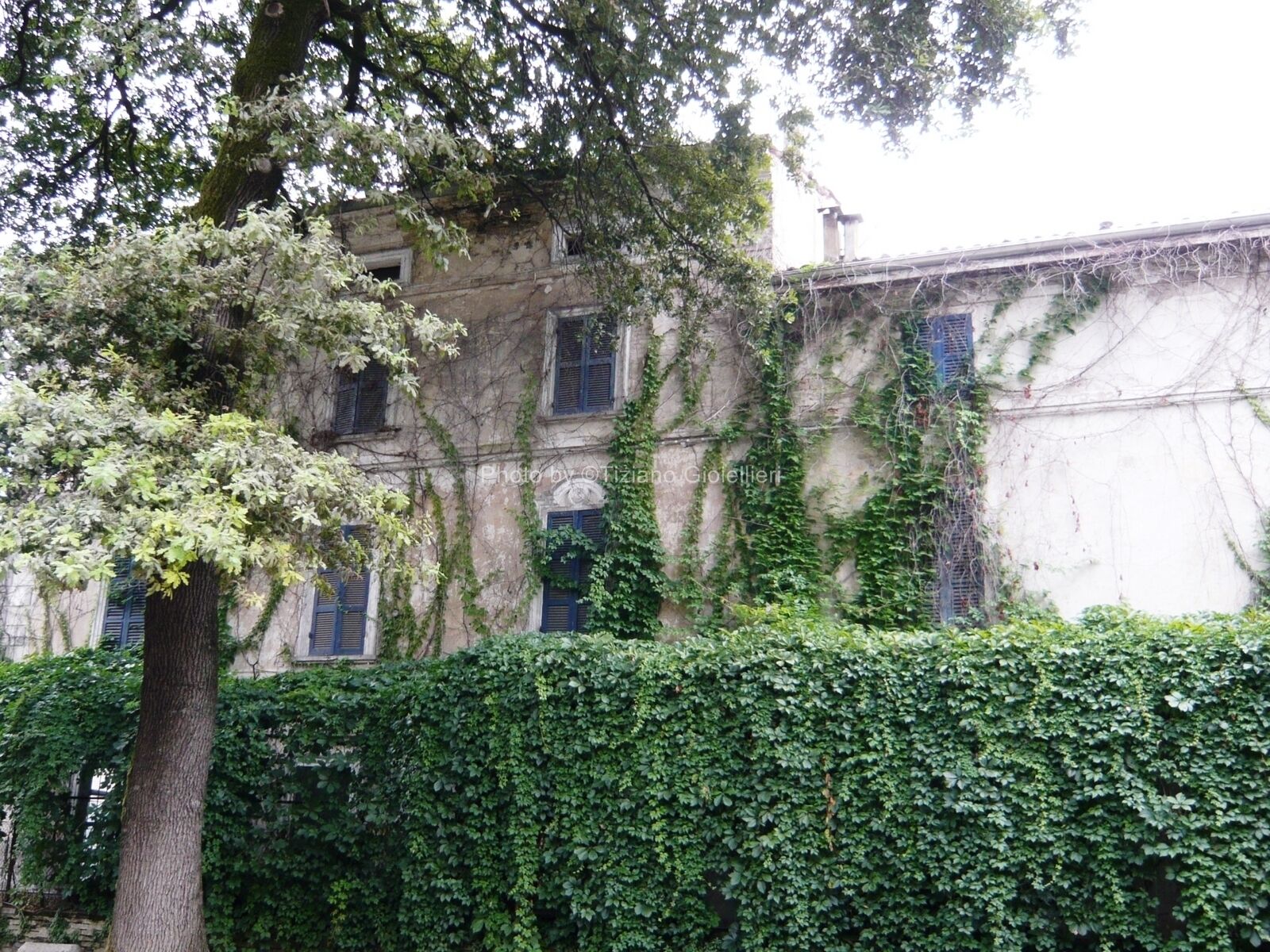 Giardino del Municipio a Roccabianca