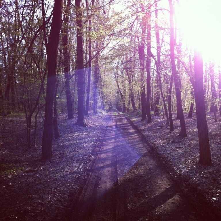 #mtb #nature #outdoor #trail #river #forest #park #everytrail #ticino #tree #parcoticino #parcodelticino #instabike #instambt #cube #cubebike