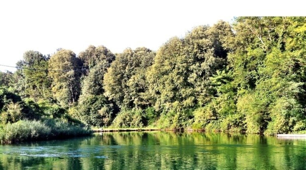 Road bike close to Naviglio Grande