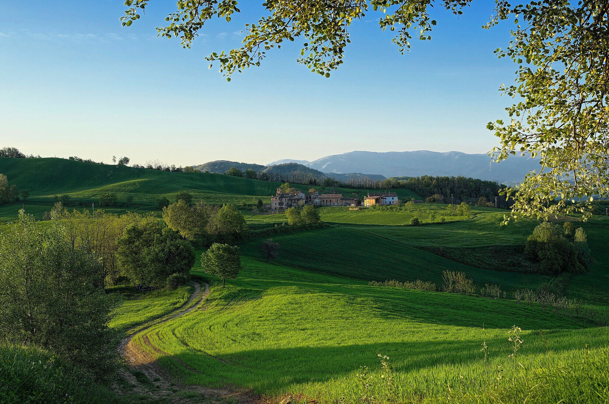 Rolling green hills, a winding path, and a cluster of buildings in the distance.