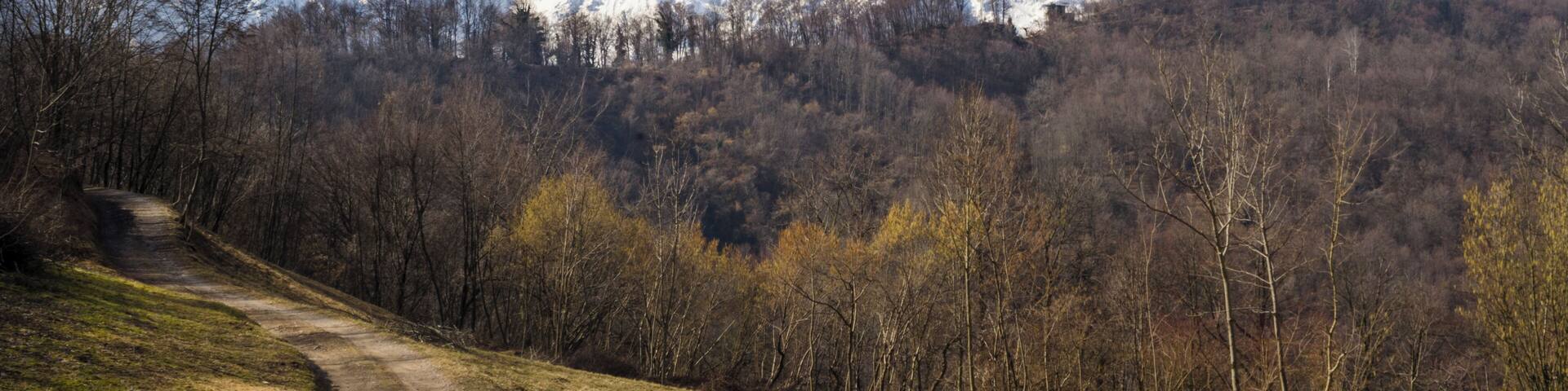 Piccole Dolomiti (Q47501408)