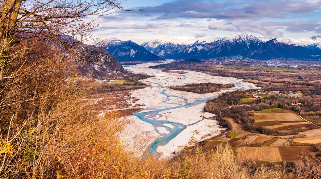 The meanders of the Tagliamento. Last natural river of Europe. Friuli. Italy