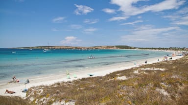 A beach with clear turquoise water, people swimming, and boats.