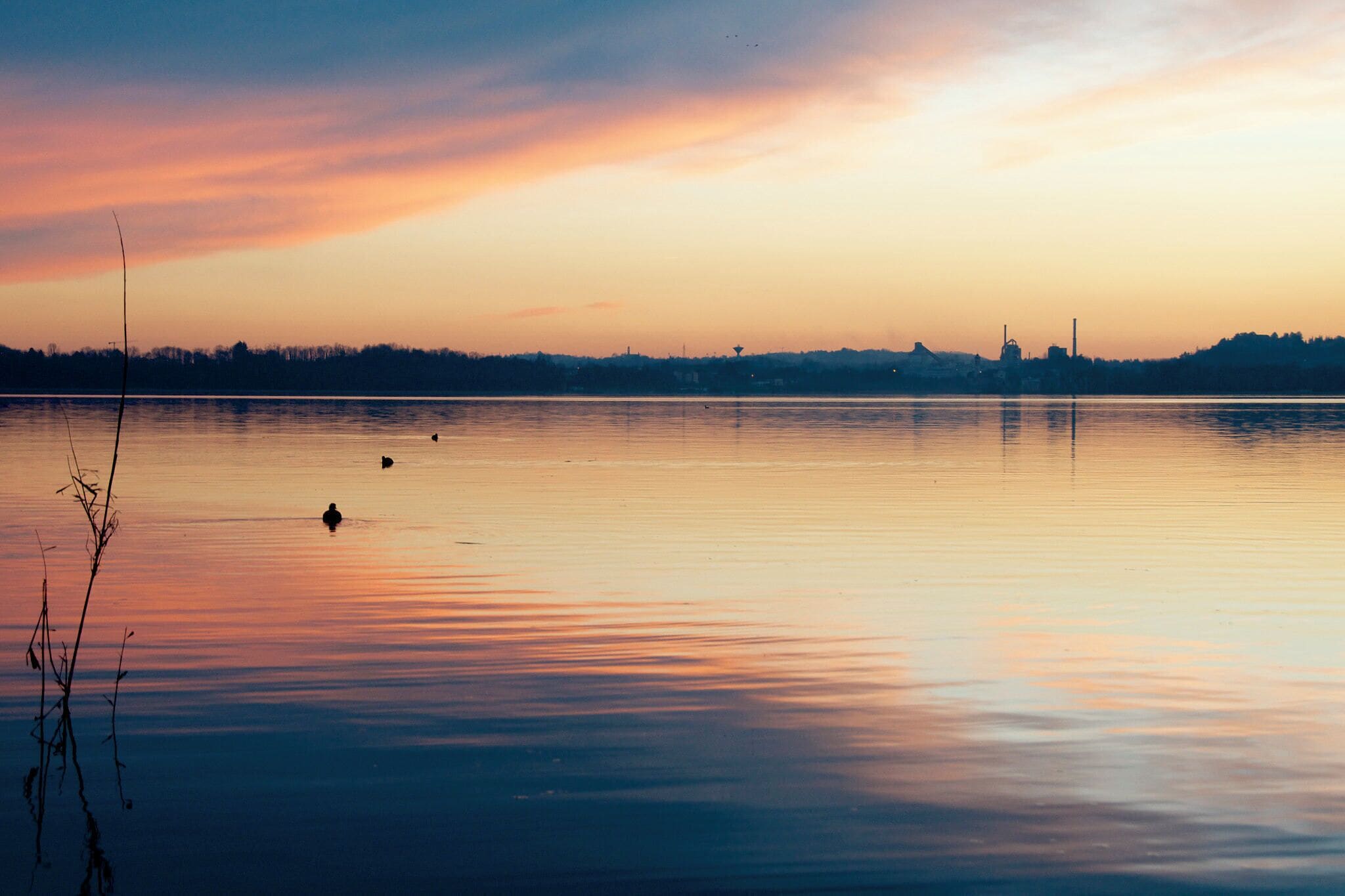 500px provided description: Ultime Luci [#landscape ,#lake ,#sunset ,#water ,#italy ,#view ,#pusiano ,#brianza]