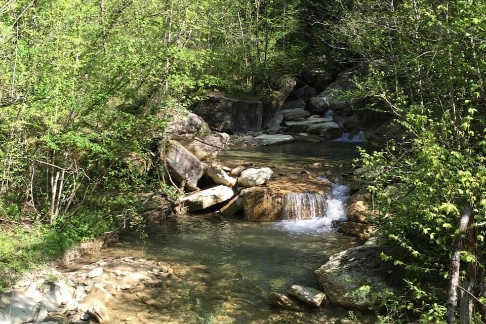 A clear stream flowing through a forest with rocks and trees.