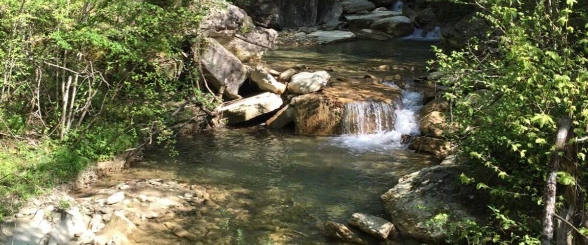 A clear stream flowing through a forest with rocks and trees.