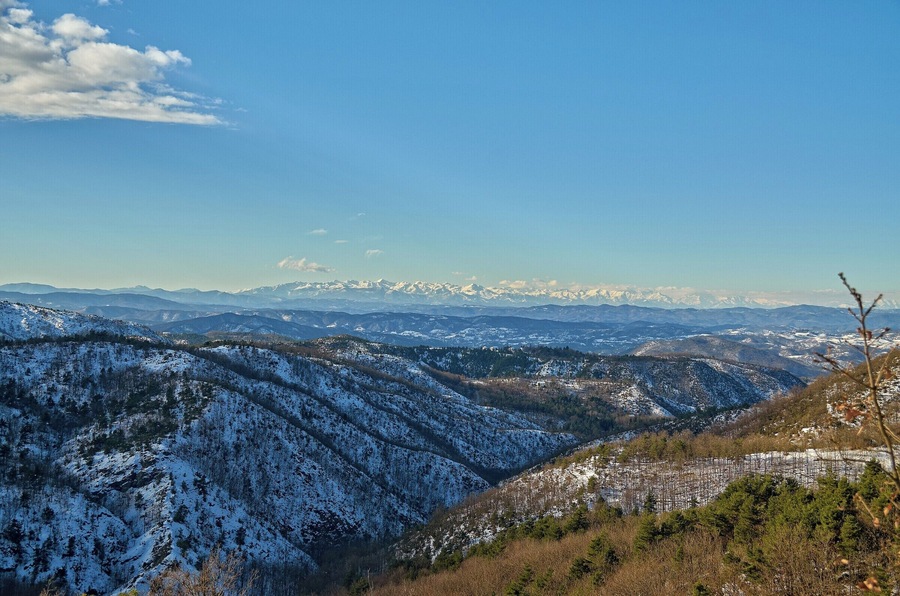 Alpi Marittime