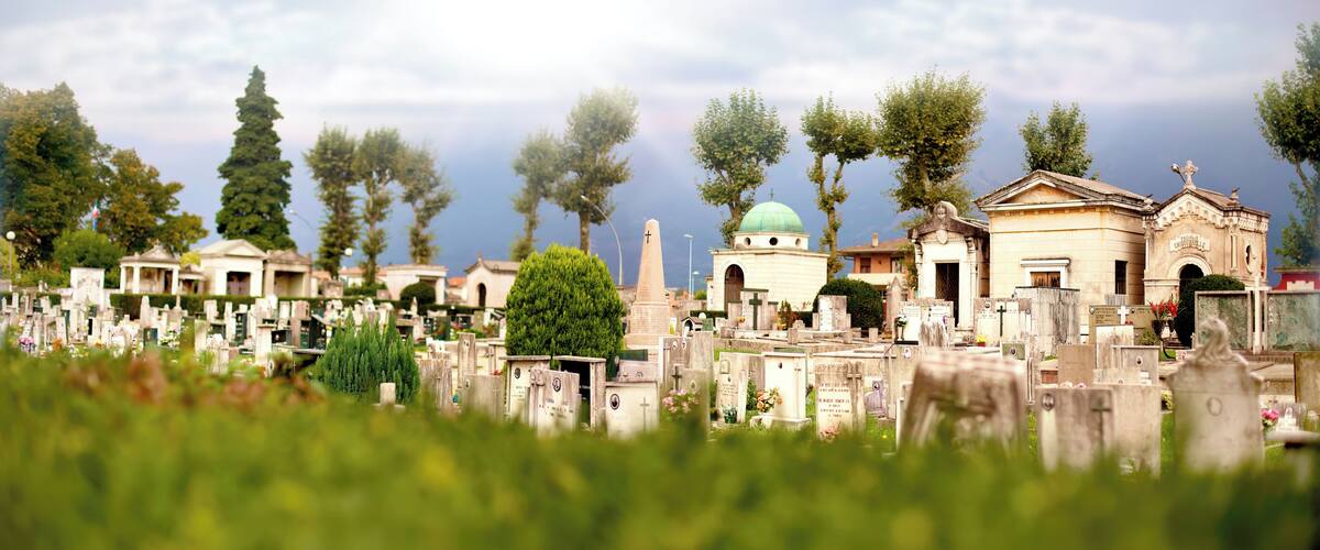 A cemetery with various tombstones, a church, and tall trees.