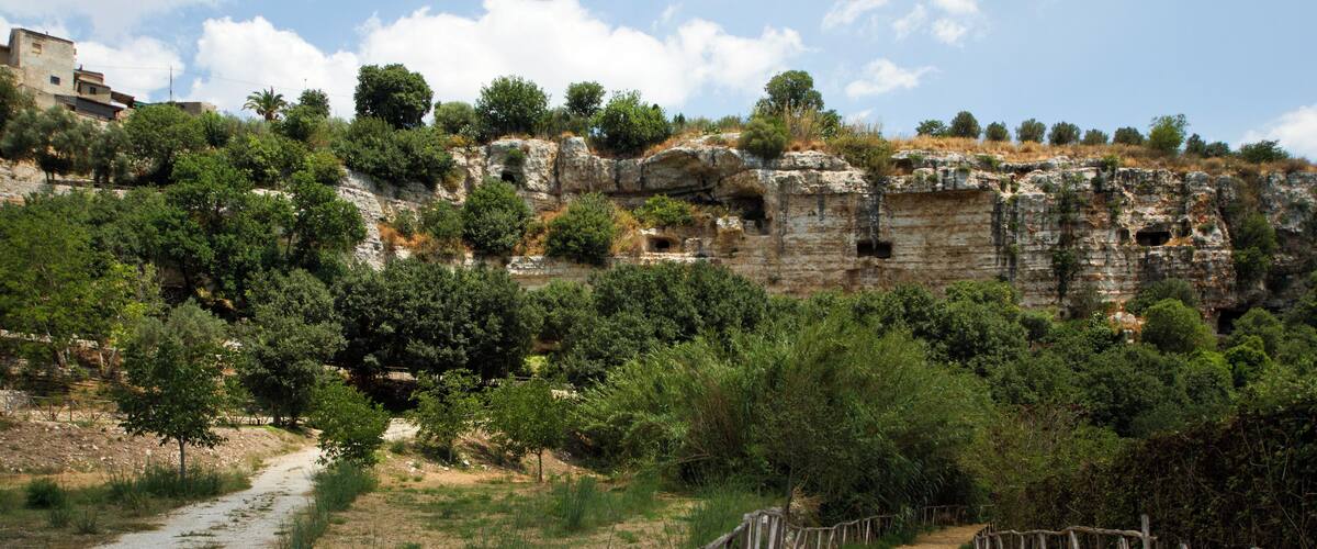 A rocky cliff with cave entrances, a dirt path, and surrounding greenery.