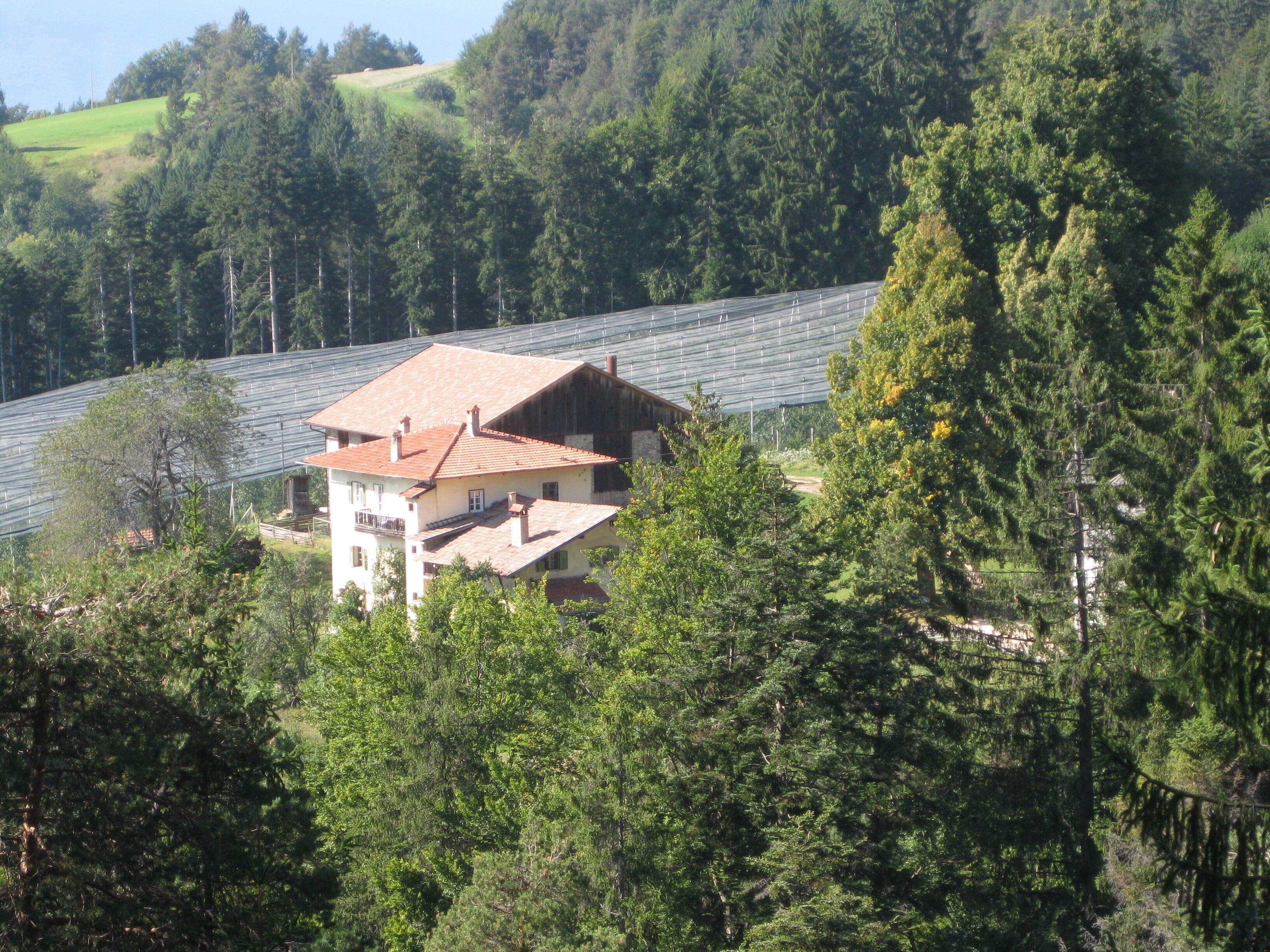 A house surrounded by dense forest and a large greenhouse structure.