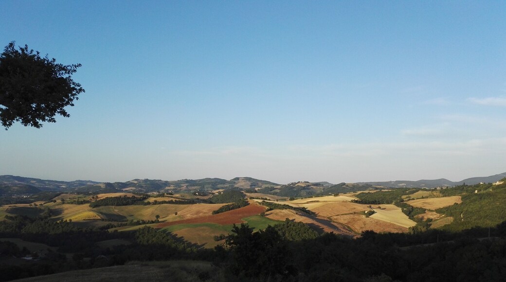 A unique place in the Marche region (central Italy)...perfect sunset view of the rolling hills.