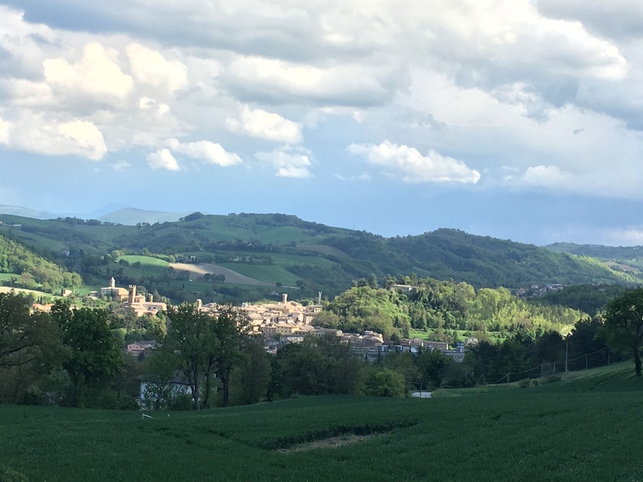 Panorama