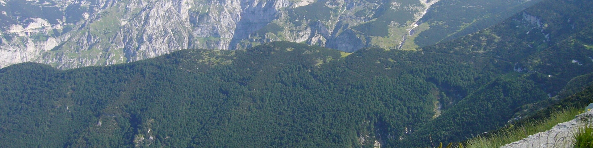 A mountainous landscape with dense forests and rocky terrain.
