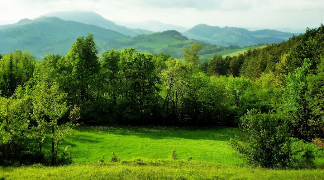 29010 Pecorara, Province of Piacenza, Italy