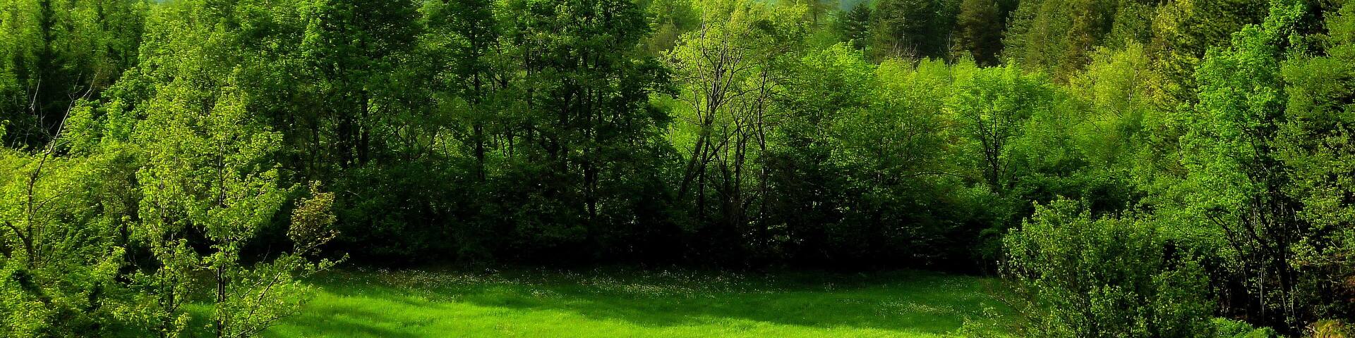 29010 Pecorara, Province of Piacenza, Italy