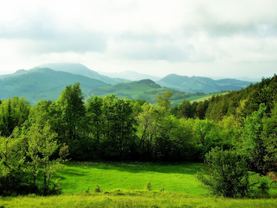 29010 Pecorara, Province of Piacenza, Italy