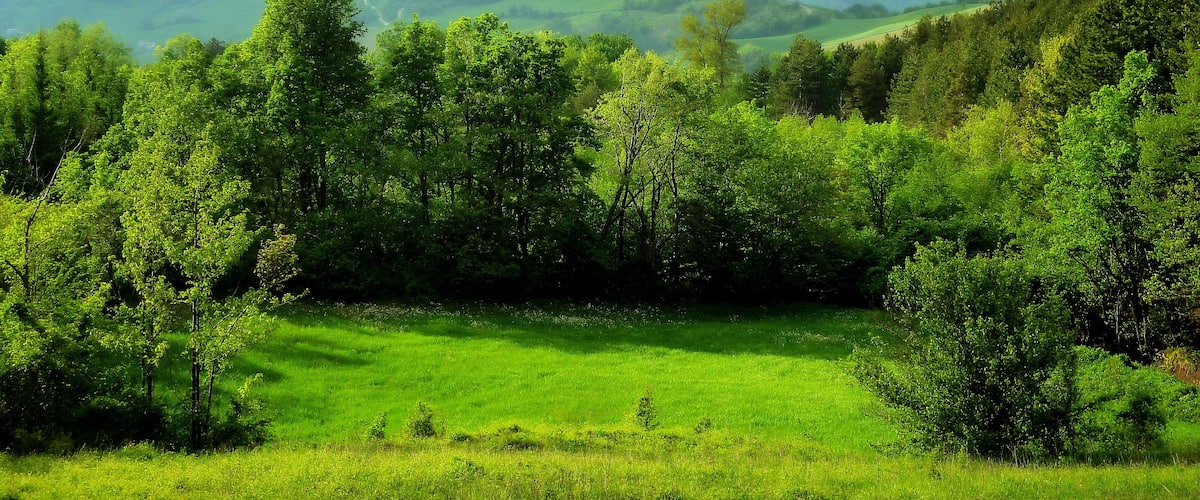 A lush green valley with rolling hills and a river in the distance.