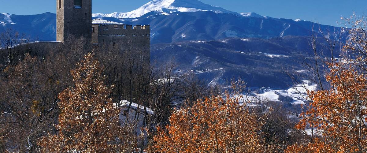 Further authorizations required by the Italian "Code of Cultural Heritage and Landscape" (Codice Urbani), under Legislative Decree No. 42, dated January 22, 2004, and its subsequent amendments, regarding the reuse of the picture. This image reproduces a property belonging to the Italian cultural heritage as entrusted to the Italian government. Such images are regulated by Articles 106 et seq. of the Italian Code of Cultural Heritage and Landscape under Legislative Decree No. 42, dated January 22, 2004, and its subsequent amendments. These regulations, unrelated to copyright regulations, establish a system for the protection of Italy’s historic and artistic heritage and its standards of dignity. Among other things, these regulations provide for the payment of a concession fee by those who intend to benefit economically from reproductions of property belonging to the Italian cultural heritage. Reproduction of this image is permitted for personal use or study. A further authorization by the Italian Ministry of Heritage and Culture is required for reproduction for any other purpose, and particularly for commercial use. Such commercial use includes, but is not limited to, use in (a) any form of advertising, and (b) any company name, logo, trademark, image, activity, or product.