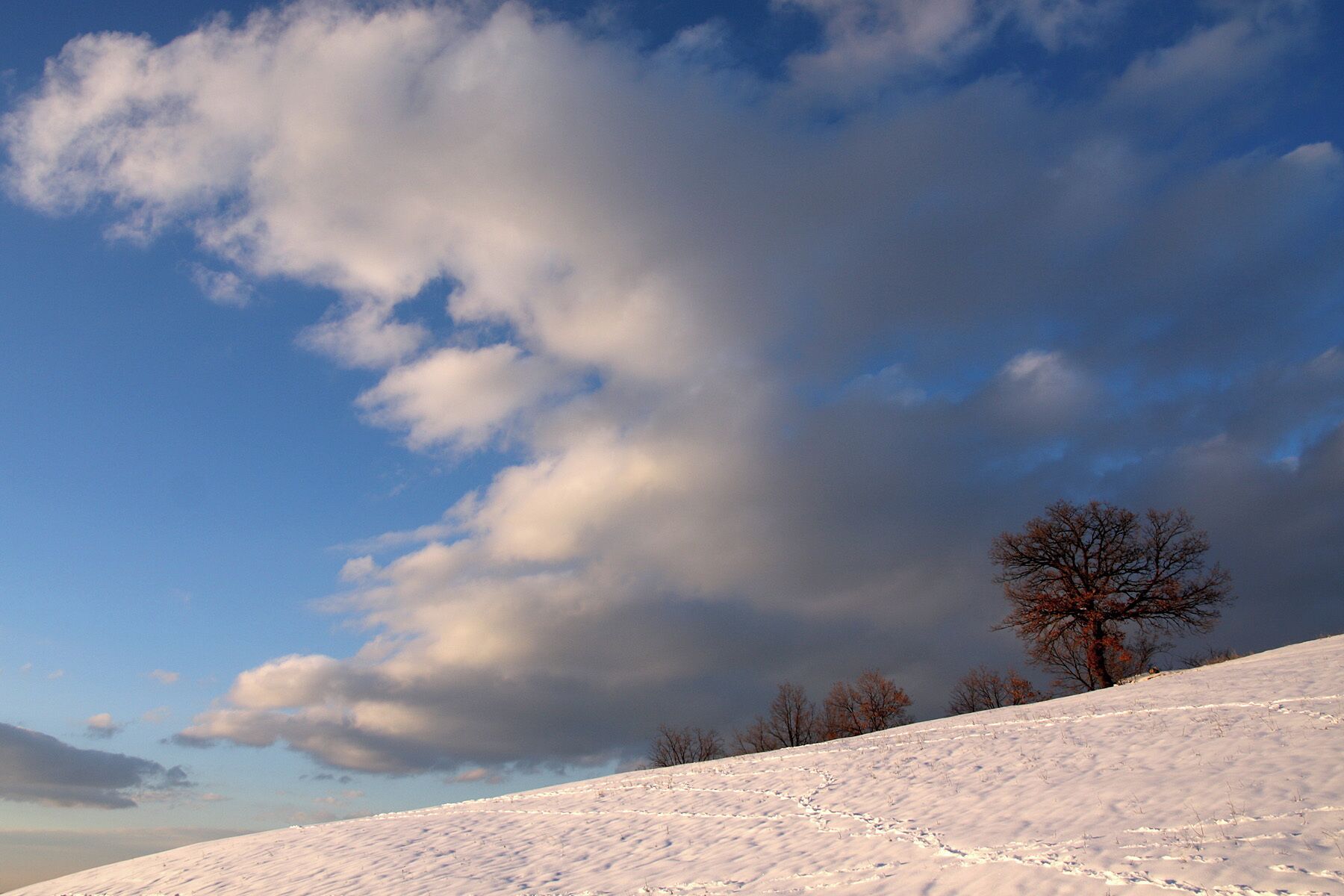 A snow-covered landscape with a clear sky and a leafless tree.