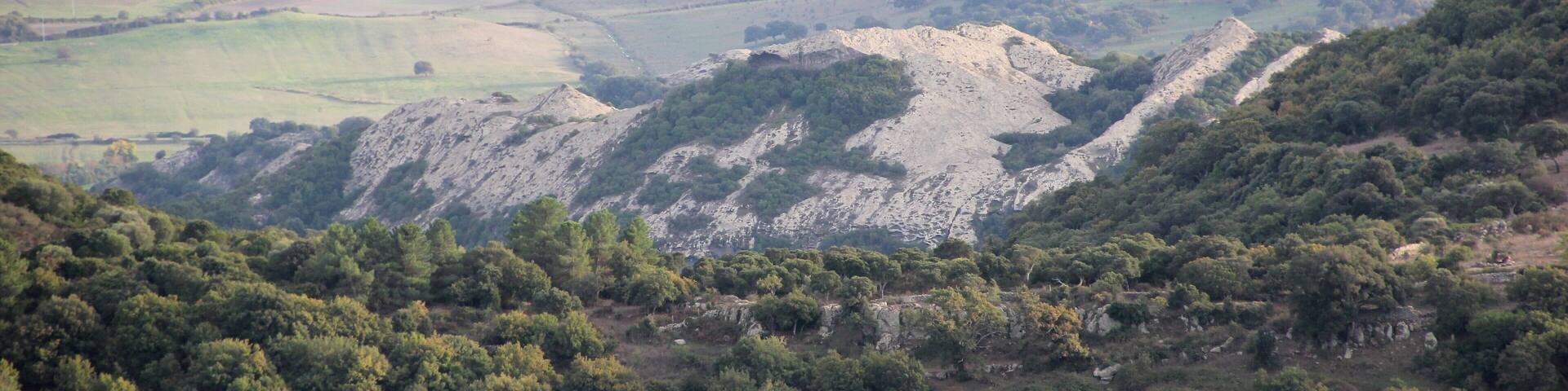Padria, Rocca Bianca