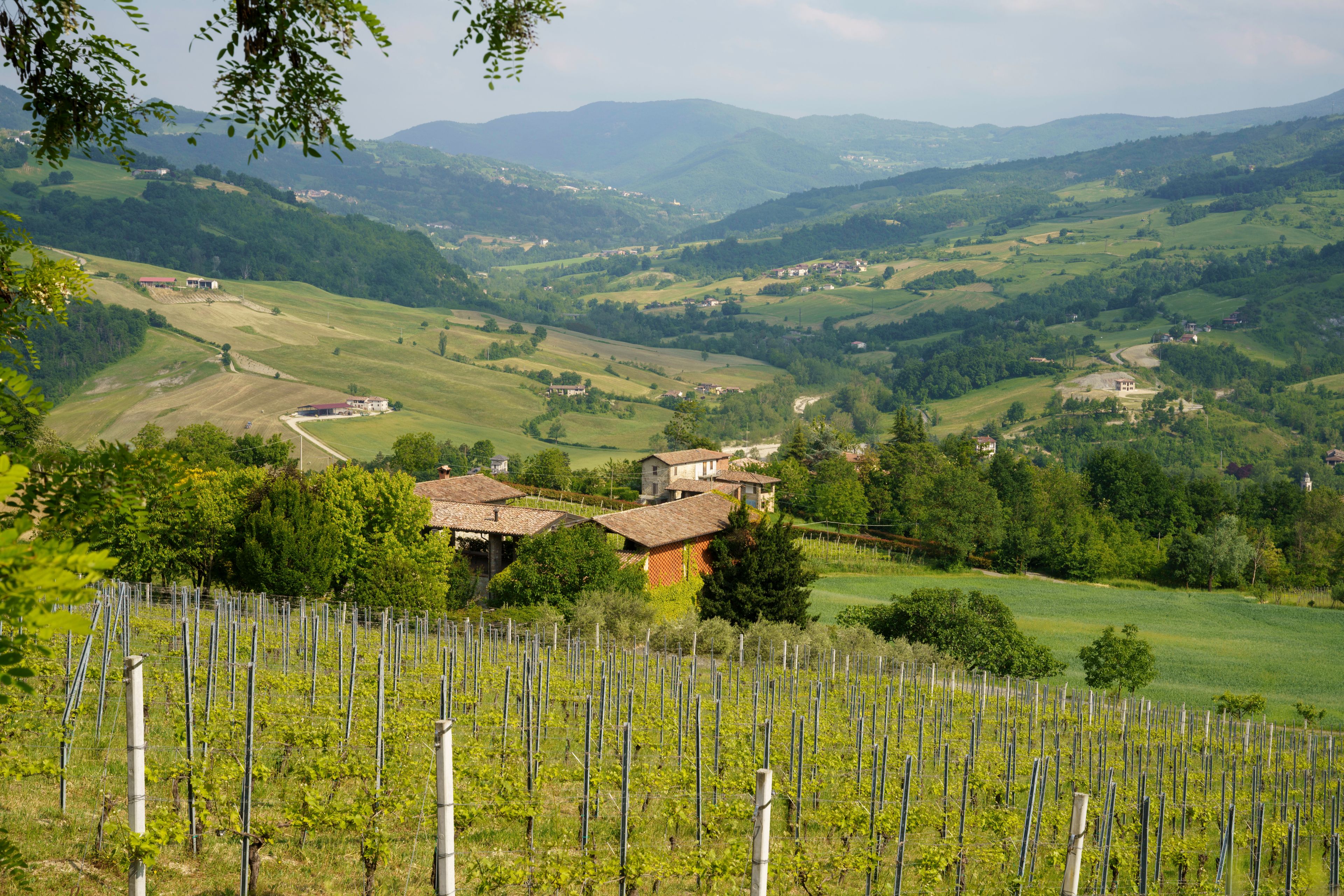 Nibbiano