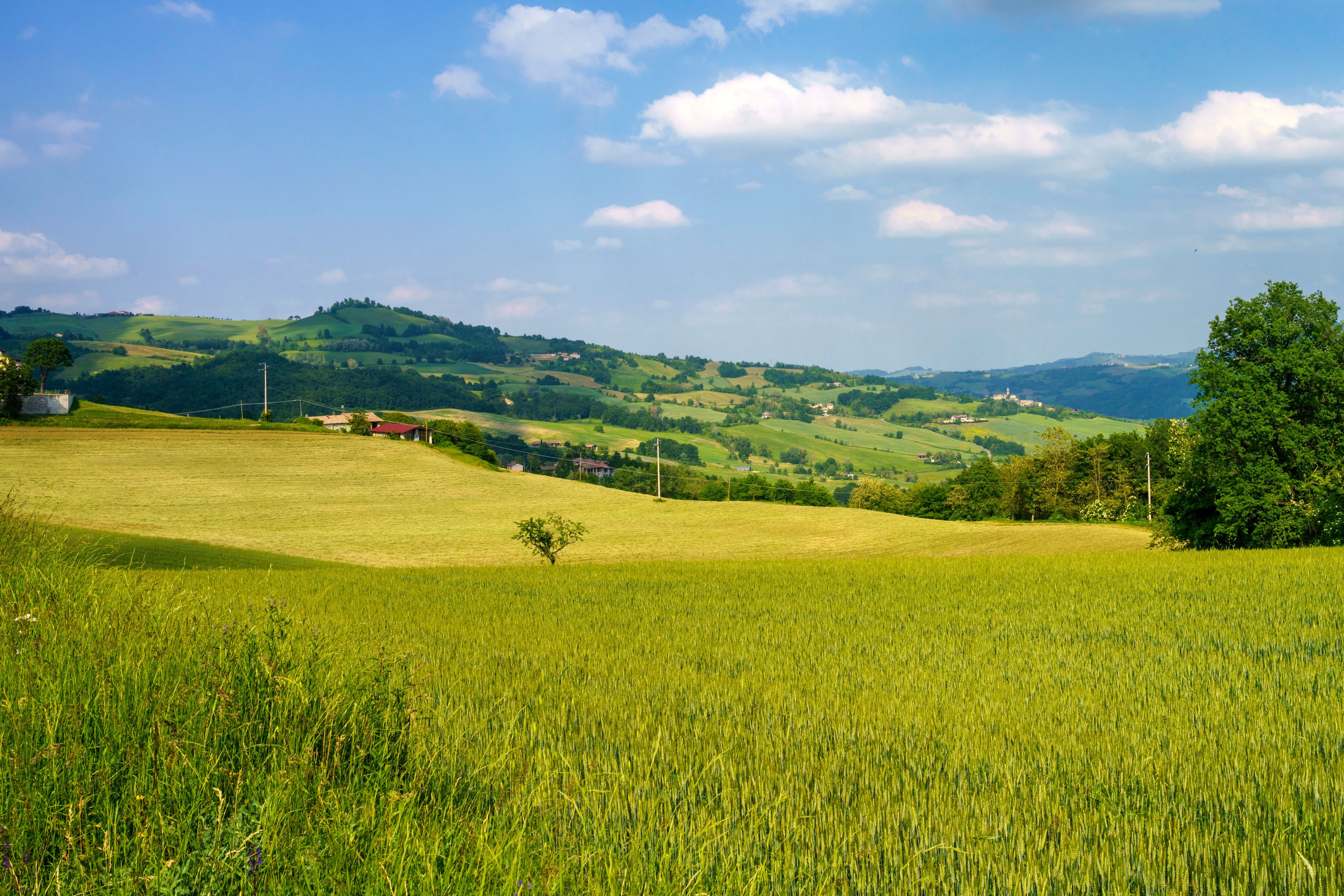 Nibbiano
