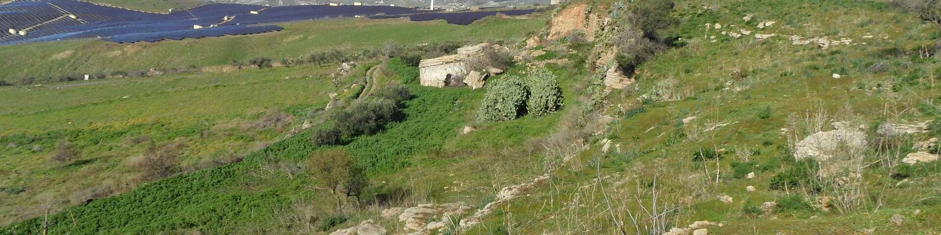 A hilly landscape with wind turbines, green vegetation, and a distant city.