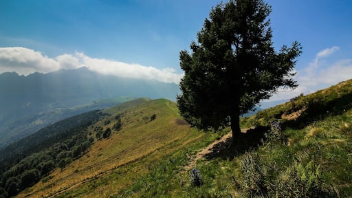 ๋ชจ๋ฅดํ
๋ก๋ค