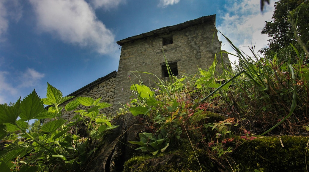 مورتيرونيه