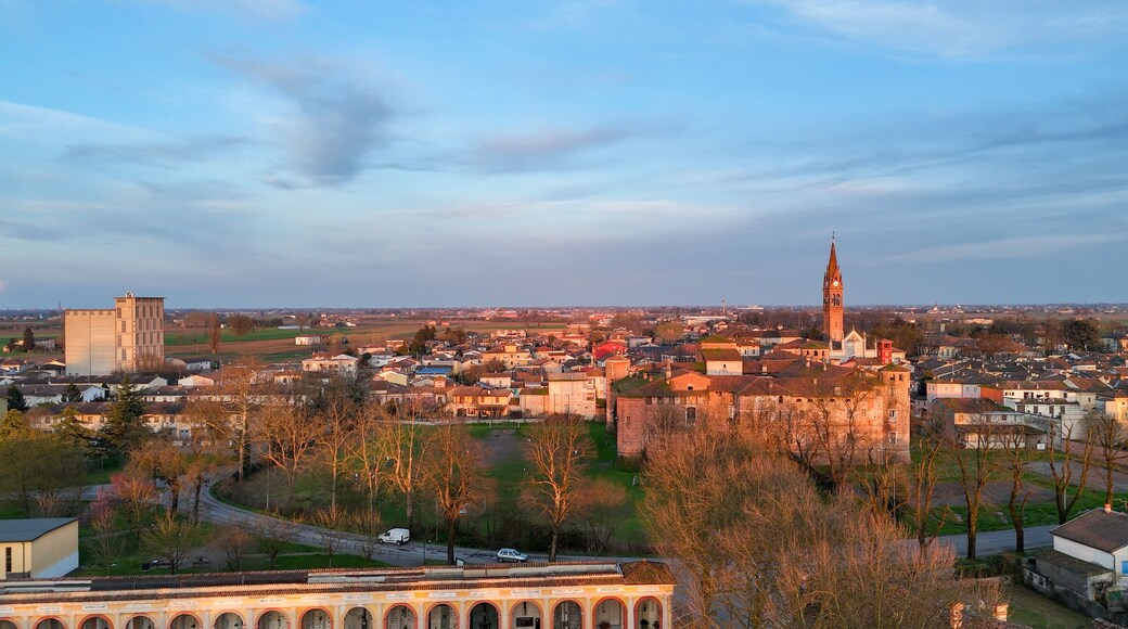 蒙蒂切利東吉納