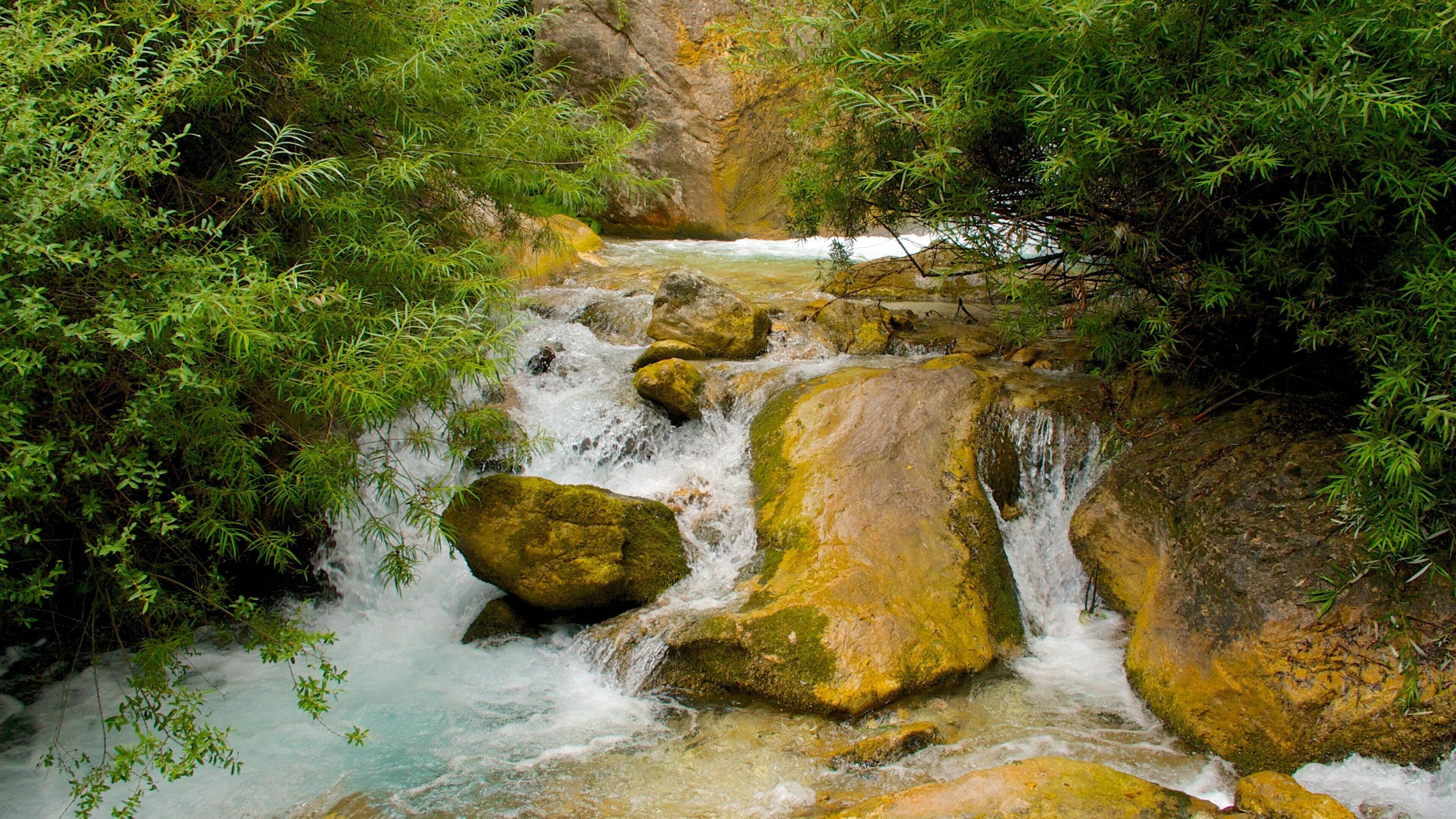 Italy featuring forests and a river or creek