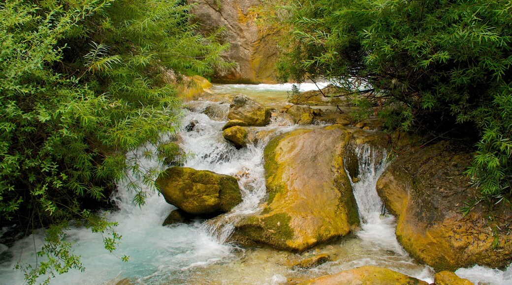 Italy featuring forests and a river or creek